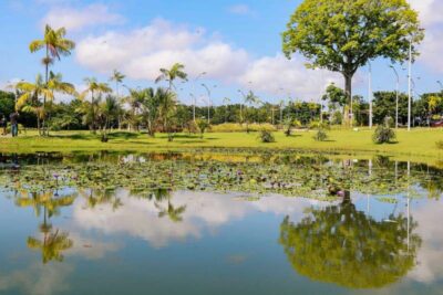 up ag 43005 ba046c84 e0d6 089f a3cf 03433d7ecbd3 1