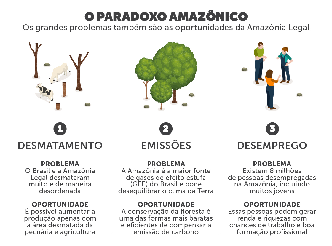 NIEDs na Amazônia – educação que nasce na floresta e protege o futuro