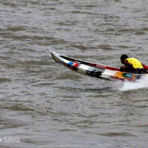 O inimigo no motor: como o mexilhão-dourado está encarecendo a vida do ribeirinho Foto: Joanaldo Silva