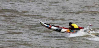 O inimigo no motor: como o mexilhão-dourado está encarecendo a vida do ribeirinho Foto: Joanaldo Silva