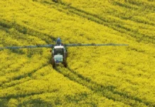 Agricultura opõe Brasil e França em disputa comercial Reprodução