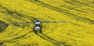 Agricultura opõe Brasil e França em disputa comercial Reprodução