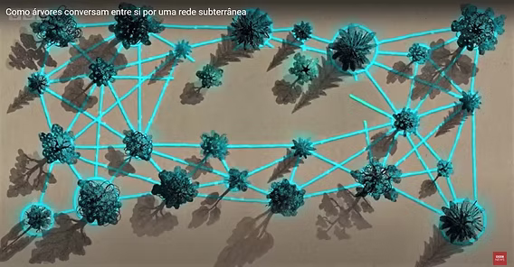 129e86 ec29eae95fc7493da3ec1e3a991b6009mv2