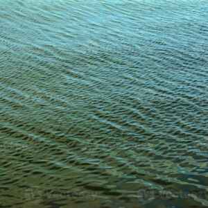 Como funciona o sonar que “enxerga” debaixo d’água na Amazônia? Entenda a tecnologia