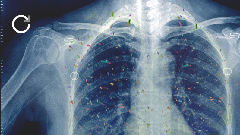 Foto: chinasong / shutterstock.com