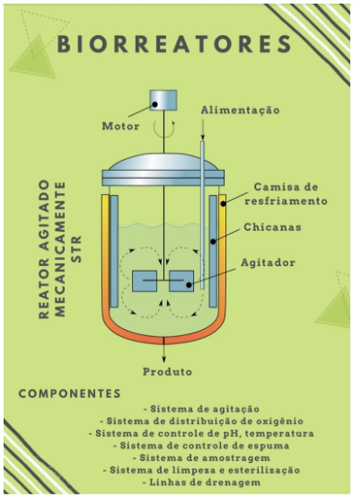Do pirarucu com IA à bioeconomia milionária, cinco inovações que mudam a Amazônia e o Cerrado 5 1656524154083