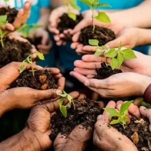 NIEDs na Amazônia – educação que nasce na floresta e protege o futuro