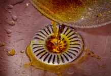 Descarte incorreto de óleo amplia risco ambiental Foto: Coryn / Shutterstock