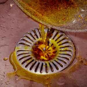 Descarte incorreto de óleo amplia risco ambiental Foto: Coryn / Shutterstock