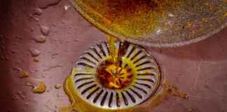 Descarte incorreto de óleo amplia risco ambiental Foto: Coryn / Shutterstock