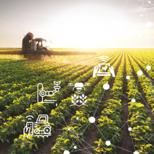 De donos da terra a donos de algoritmos: A nova dependência tecnológica Reprodução - Petrovina Sementes