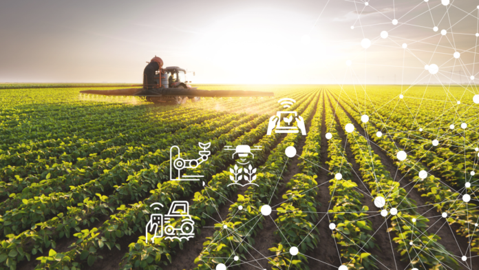 Reprodução - Petrovina Sementes