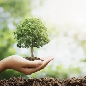 Descobertas que estão redefinindo a sustentabilidade no chão e na água do planeta Como ciência e tecnologia estão redesenhando a sustentabilidade