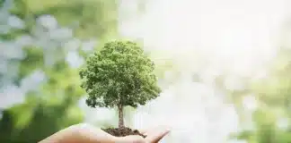 Descobertas que estão redefinindo a sustentabilidade no chão e na água do planeta Como ciência e tecnologia estão redesenhando a sustentabilidade