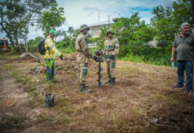 Porto Velho aposta em microflorestas urbanas e transforma vazios em pomares públicos Divulgação - Porto Velho