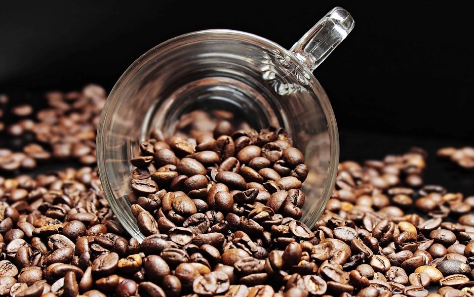 Reprodução - Creative Commons