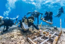 Brasil ratifica pacto global para transformar o alto mar em santuário vigiado Foto da ONU/Competição Internacional para o Dia Mundial dos Oceanos 2023.