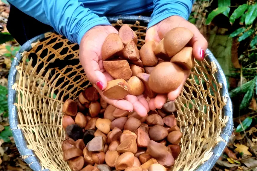 Foto: Márcia do Carmo/GEA