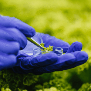 Bioinsumos podem gerar economia de bilhões para o agronegócio nacional Reprodução