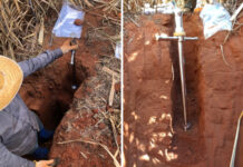 Brasil perdeu 1,4 bilhão de toneladas de carbono do solo com avanço da agricultura fotos: Júnior Melo Damian/Embrapa Agricultura Digital