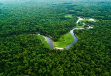 Desafios estruturais comprometem cooperação ambiental A geopolítica das nuvens e a sobrevivência do Brasil — por que a Amazônia é o motor invisível do seu cotidiano