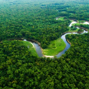 A geopolítica das nuvens e a sobrevivência do Brasil — por que a Amazônia é o motor invisível do seu cotidiano A geopolítica das nuvens e a sobrevivência do Brasil — por que a Amazônia é o motor invisível do seu cotidiano