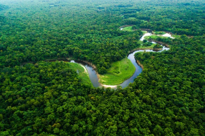 A geopolítica das nuvens e a sobrevivência do Brasil — por que a Amazônia é o motor invisível do seu cotidiano