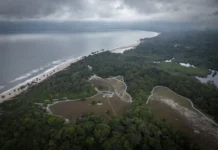 Rali da dívida emergente trava mercado de swaps ambientais Foto: Guillem Sartorio/Bloomberg