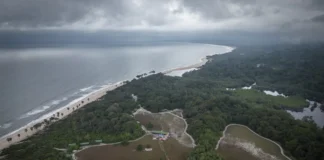 Rali da dívida emergente trava mercado de swaps ambientais Foto: Guillem Sartorio/Bloomberg