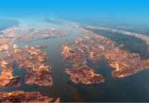 O invasor silencioso que ameaça a economia e a natureza da Amazônia Foto: Antonio Cavalcante / ASCOM SETRAN