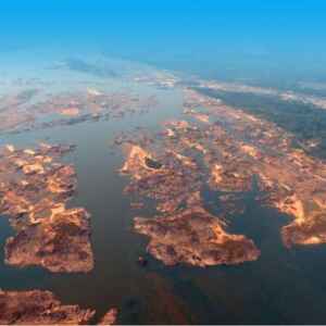 O invasor silencioso que ameaça a economia e a natureza da Amazônia Foto: Antonio Cavalcante / ASCOM SETRAN