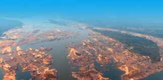 O invasor silencioso que ameaça a economia e a natureza da Amazônia Foto: Antonio Cavalcante / ASCOM SETRAN
