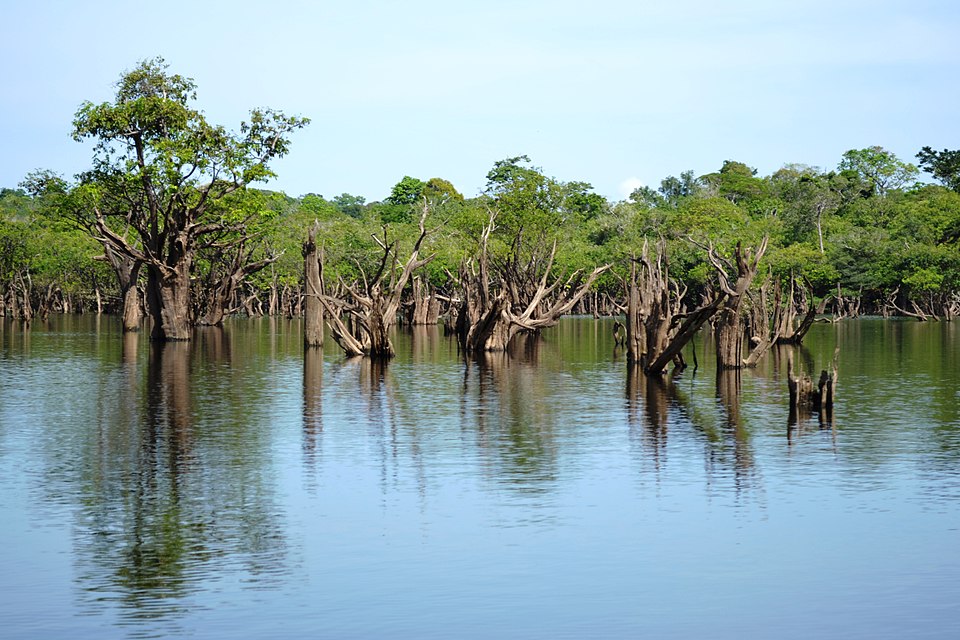 Foto: Carolina Teixeira de Melo Franco