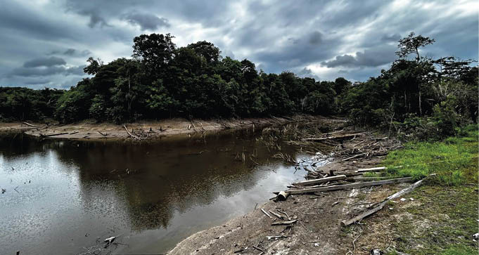 Áreas úmidas amazônicas e o Dia Mundial das Zonas Úmidas 5 Balbina