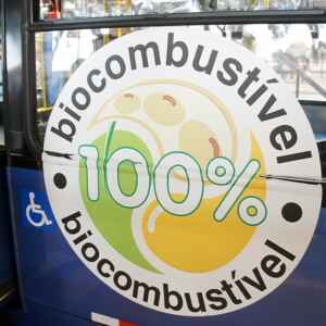 Brasil lidera biocombustíveis, mas enfrenta risco de inflação nos alimentos Foto: Mario Roberto Durán Ortiz