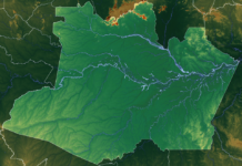 Descentralização financeira do Sisnama: entenda a proposta da Sema Amazonas para fortalecer a governança ambiental nos municípios brasileiros até 2036. Imágem: Allice Hunter