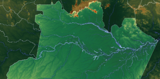 Descentralização financeira do Sisnama: entenda a proposta da Sema Amazonas para fortalecer a governança ambiental nos municípios brasileiros até 2036. Imágem: Allice Hunter