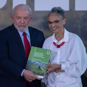 Supremo determina novas medidas contra desmatamento na Amazônia Reprodução