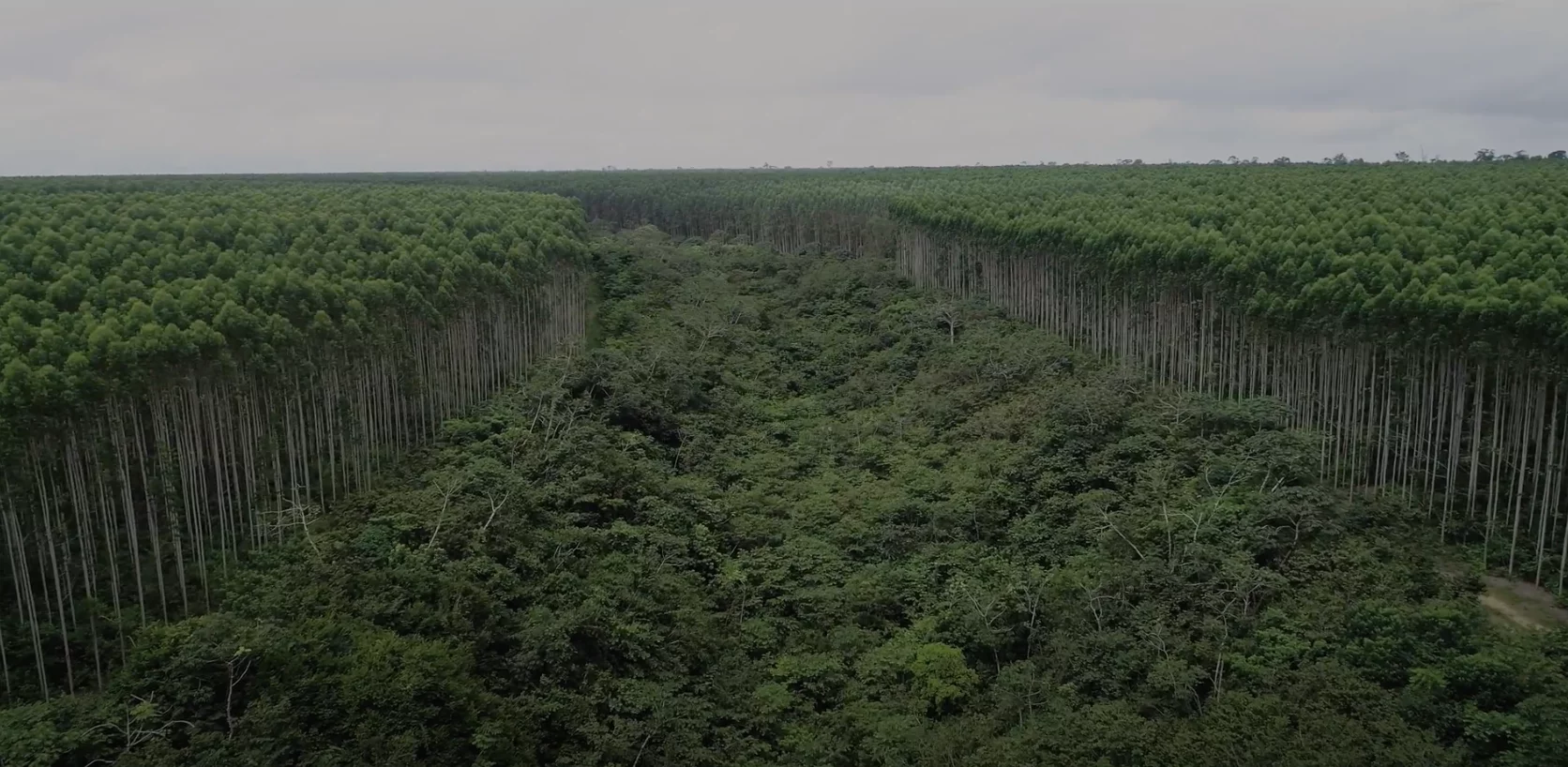 Regularização fundiária pode definir futuro da Amazônia 2 Captura de Tela 2022 03 29 as 13.12.11