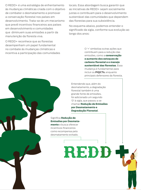 Captura de tela 2025 02 07 115416