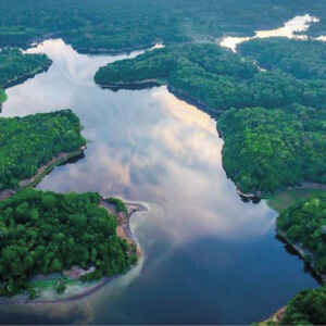 Áreas úmidas amazônicas e o Dia Mundial das Zonas Úmidas Cerca de 30% da área da bacia amazônica correspondem a áreas úmidas (AUs) de diferentes categorias.. Elas amortecem eventos extremos de cheias e secas, abrigam e geram biodiversidade, entre outras funções