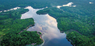 Áreas úmidas amazônicas e o Dia Mundial das Zonas Úmidas Cerca de 30% da área da bacia amazônica correspondem a áreas úmidas (AUs) de diferentes categorias.. Elas amortecem eventos extremos de cheias e secas, abrigam e geram biodiversidade, entre outras funções