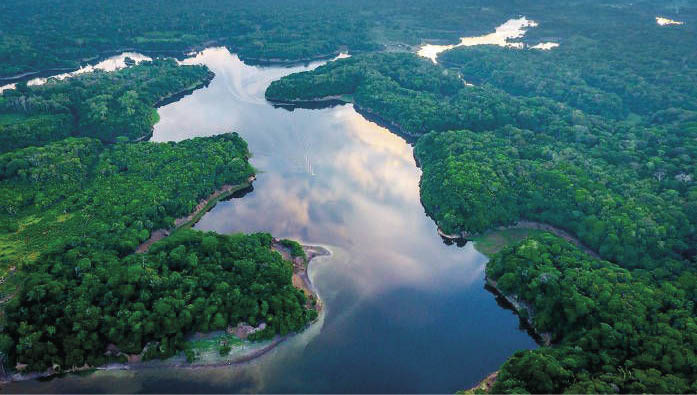 Cerca de 30% da área da bacia amazônica correspondem a áreas úmidas (AUs) de diferentes categorias.. Elas amortecem eventos extremos de cheias e secas, abrigam e geram biodiversidade, entre outras funções Cerca de 30% da área da bacia amazônica correspondem a áreas úmidas (AUs) de diferentes categorias.. Elas amortecem eventos extremos de cheias e secas, abrigam e geram biodiversidade, entre outras funções