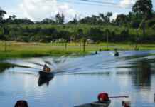 Governança ambiental no Amazonas enfrenta teste decisivo Foto: Luiz F. Fritz