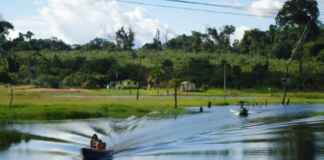 Governança ambiental no Amazonas enfrenta teste decisivo Foto: Luiz F. Fritz