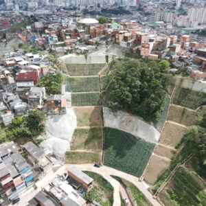 SBN ganham espaço nas políticas urbanas brasileiras Divulgação SBN