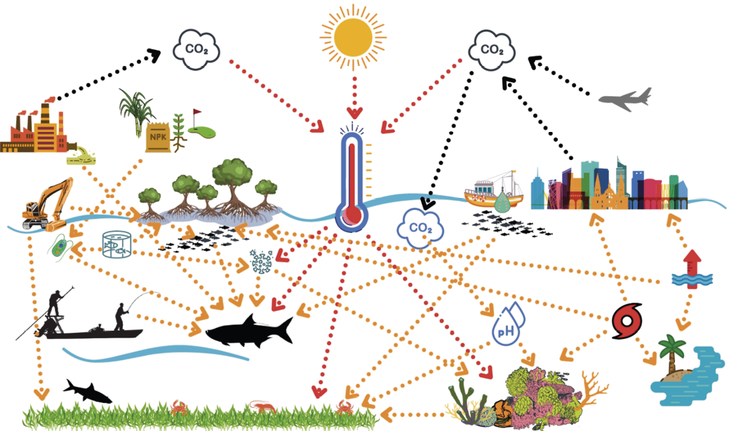 As mudanças climáticas na indústria global de frutos do mar 6