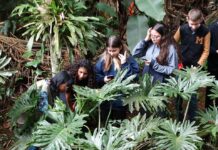 Pátio escolar vira laboratório vivo de resiliência climática em 2026 Foto: GWoehljr