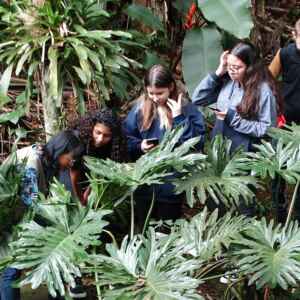 Pátio escolar vira laboratório vivo de resiliência climática em 2026 Foto: GWoehljr