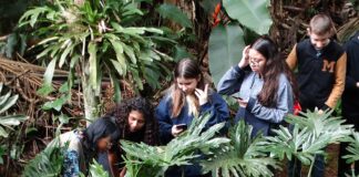 Pátio escolar vira laboratório vivo de resiliência climática em 2026 Foto: GWoehljr